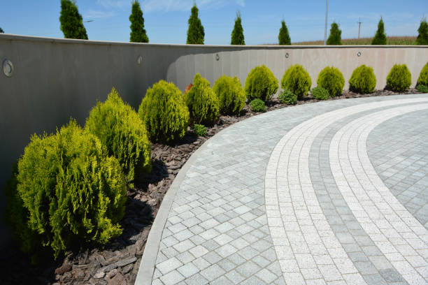 Reliable Bear Valley Springs, CA Driveway Pavers Solutions